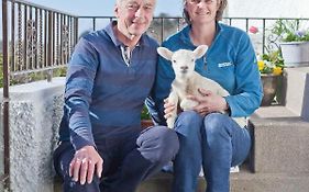 Kents Bank Holiday - Pet Friendly With Bay Views